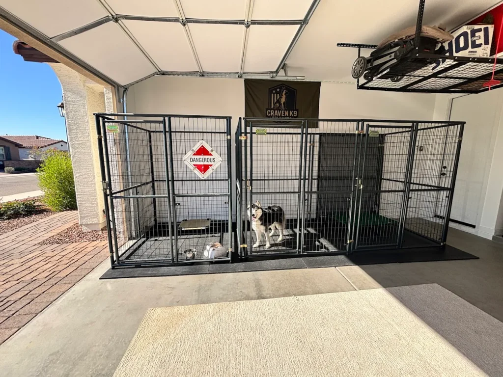 Top Reasons Dog Owners in Avondale, AZ Choose Board & Train Programs