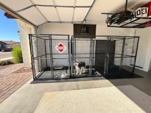 Top Reasons Dog Owners in Avondale, AZ Choose Board & Train Programs