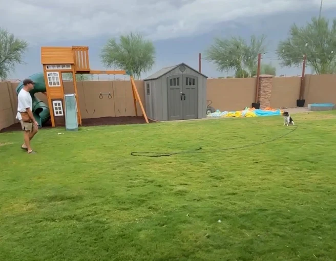 Best Board and Train Program for Dogs in Avondale, AZ | Craven K9 Solutions